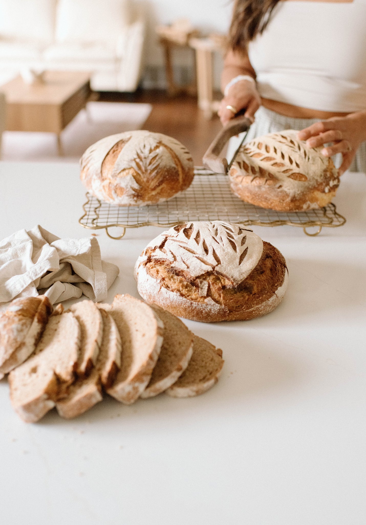 SourJo Dehydrated Sourdough Starter